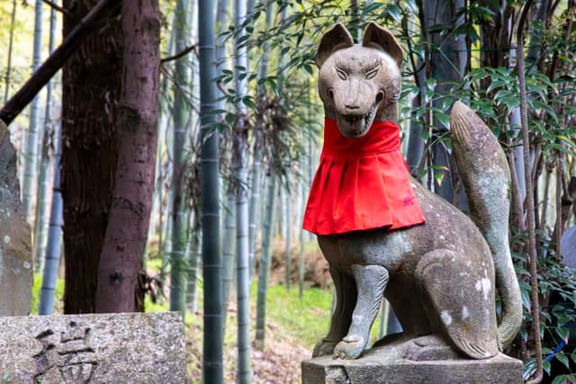 unfriendly fox fellow