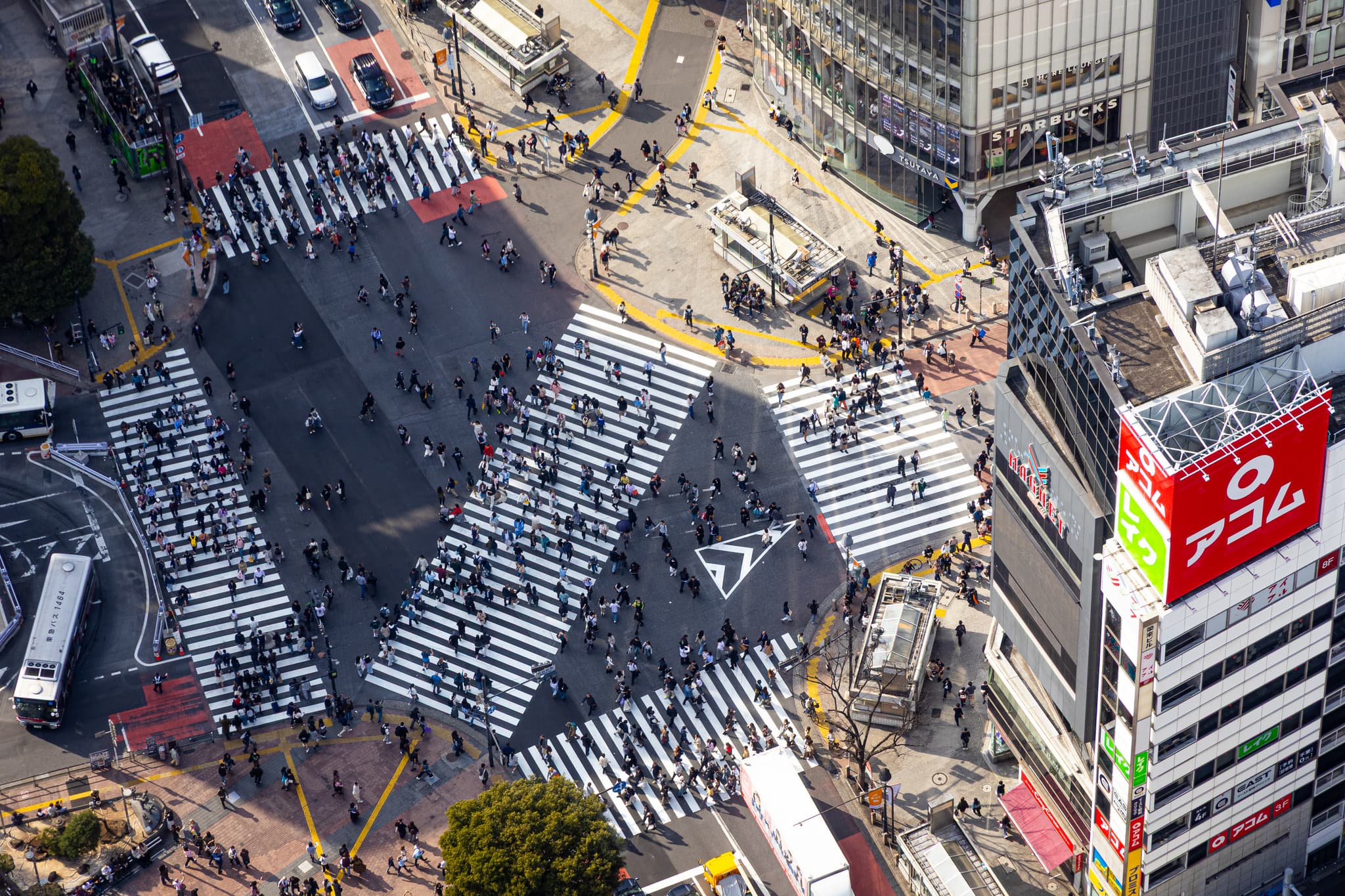Shibuya Scramble from Shibuya Sky