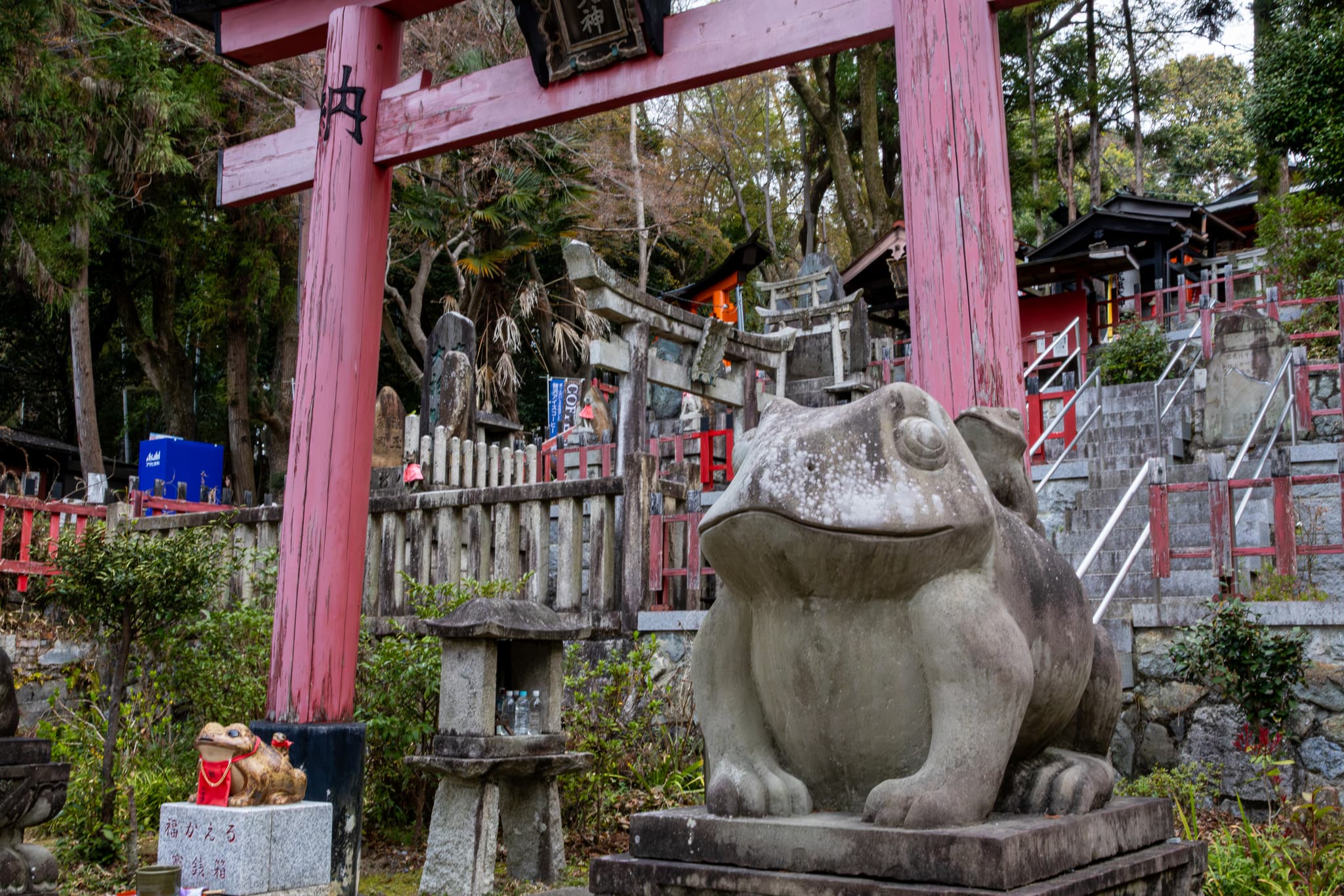 Fushimi Inari Frog