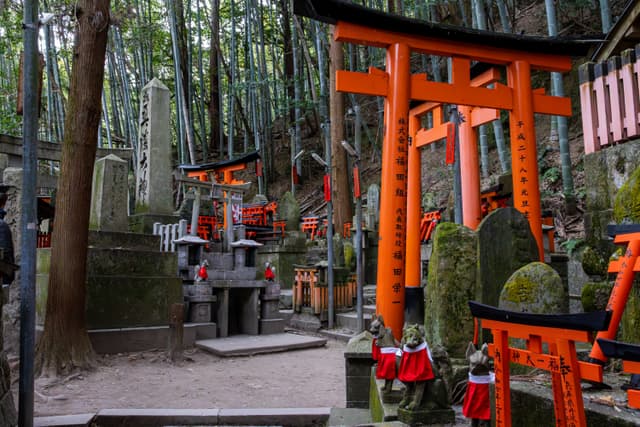 shrines in the bamboo