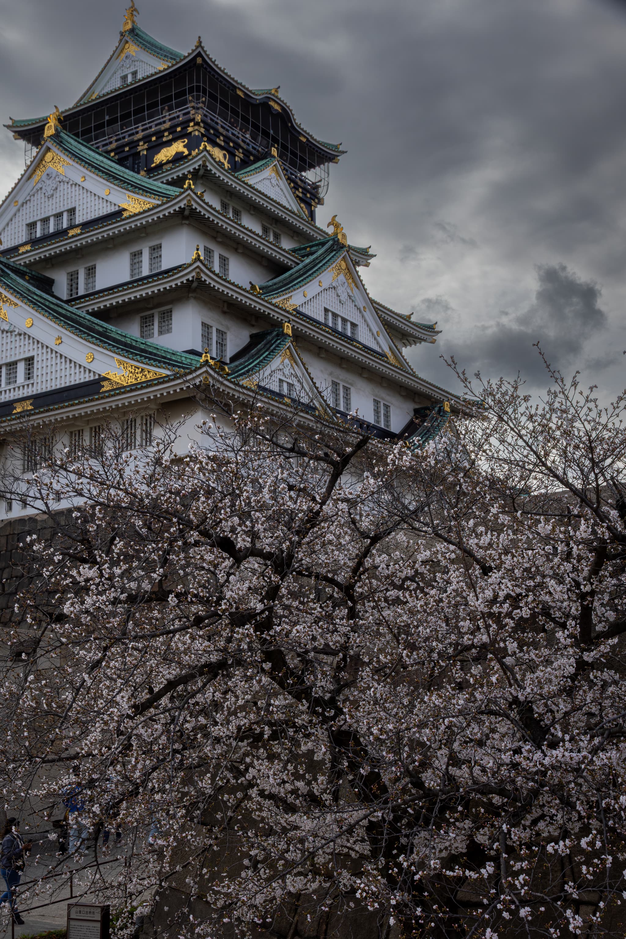 osaka castle & grey skies 