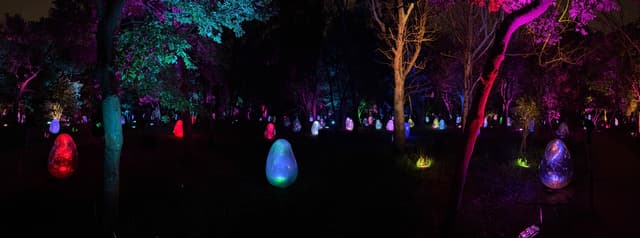 blobs at teamlab botanical garden