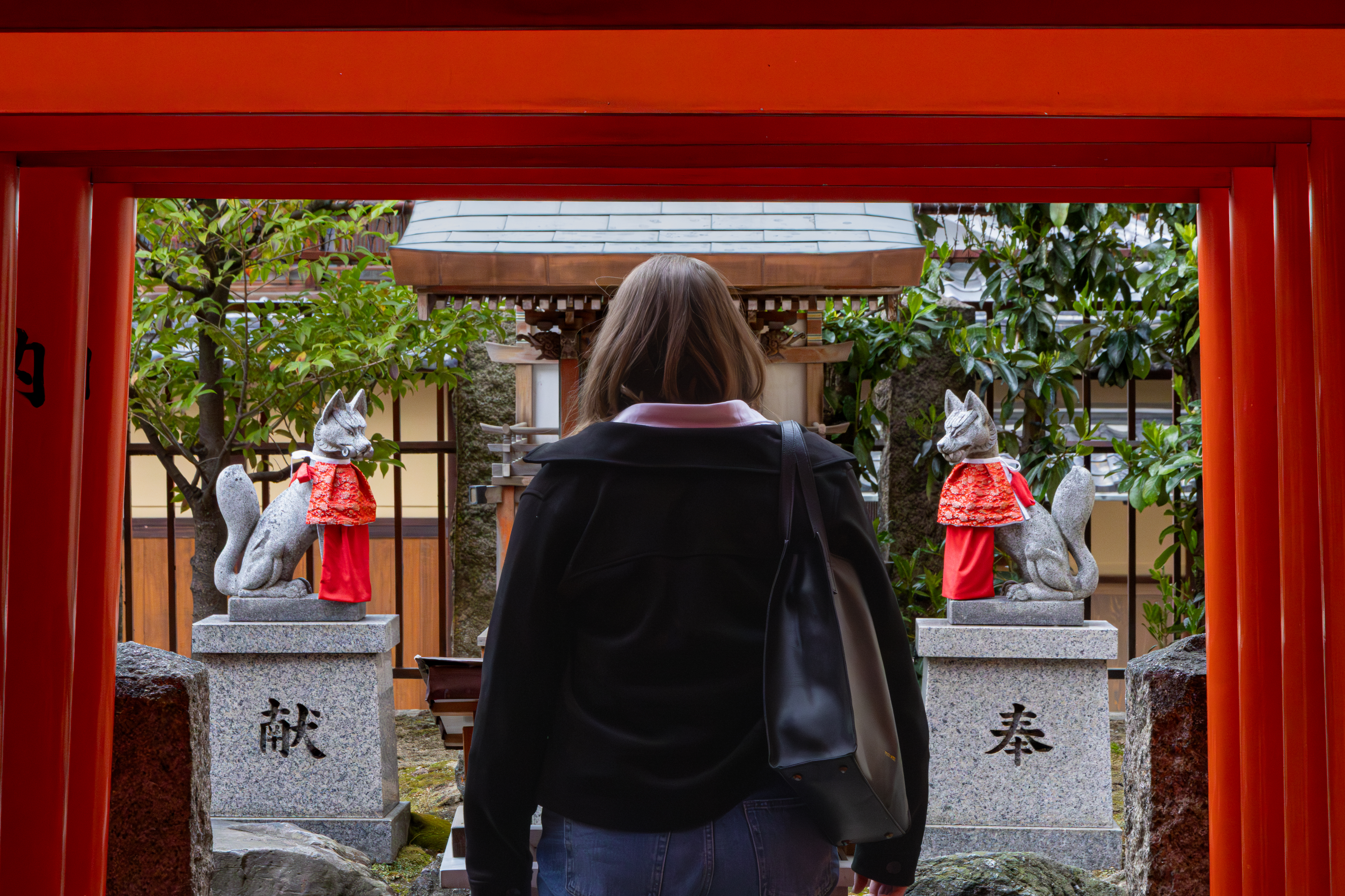 photo-PAp6aDTw46Lir45T