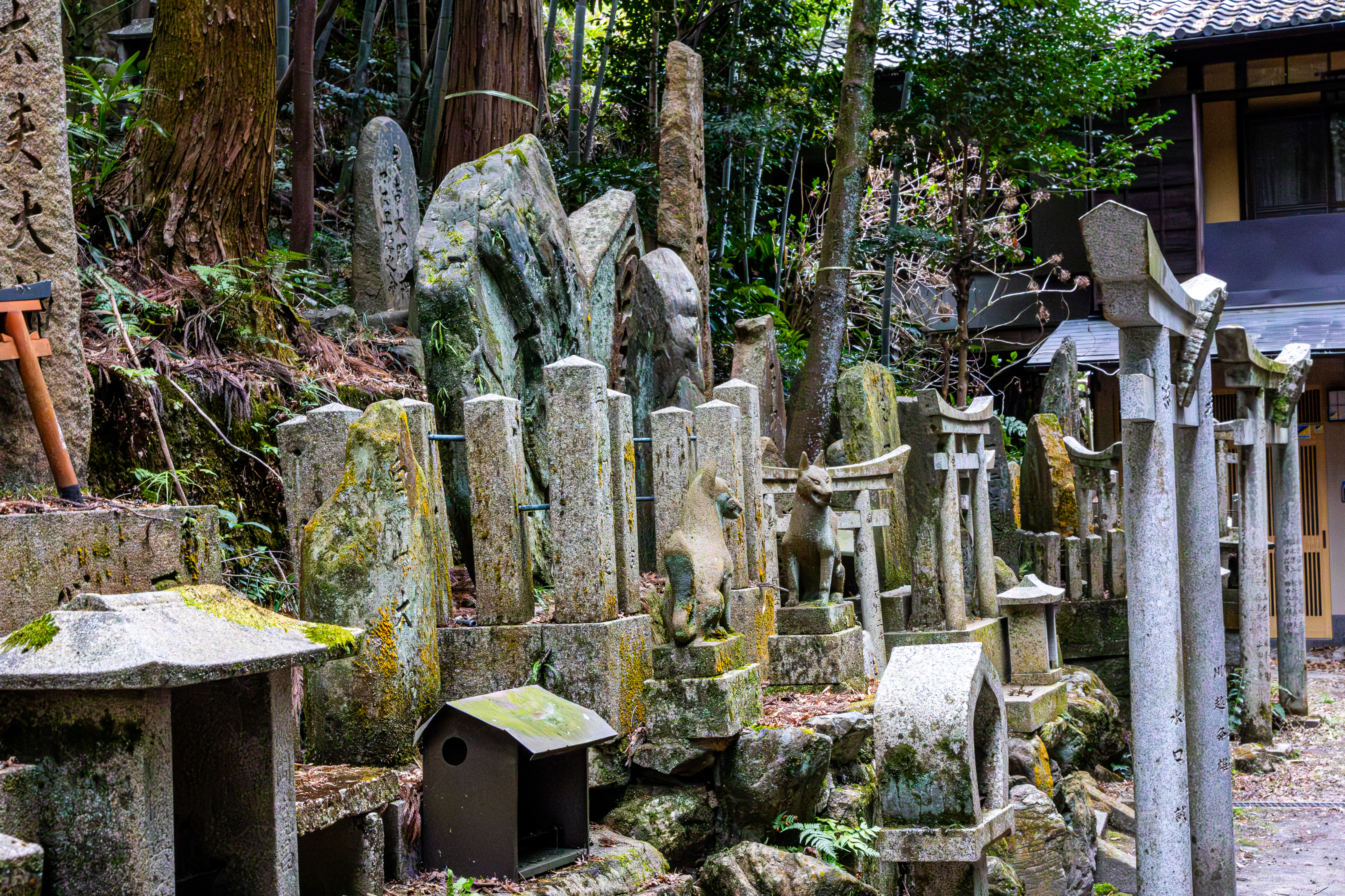 photo-RSqG6d7XXIPn8GZf