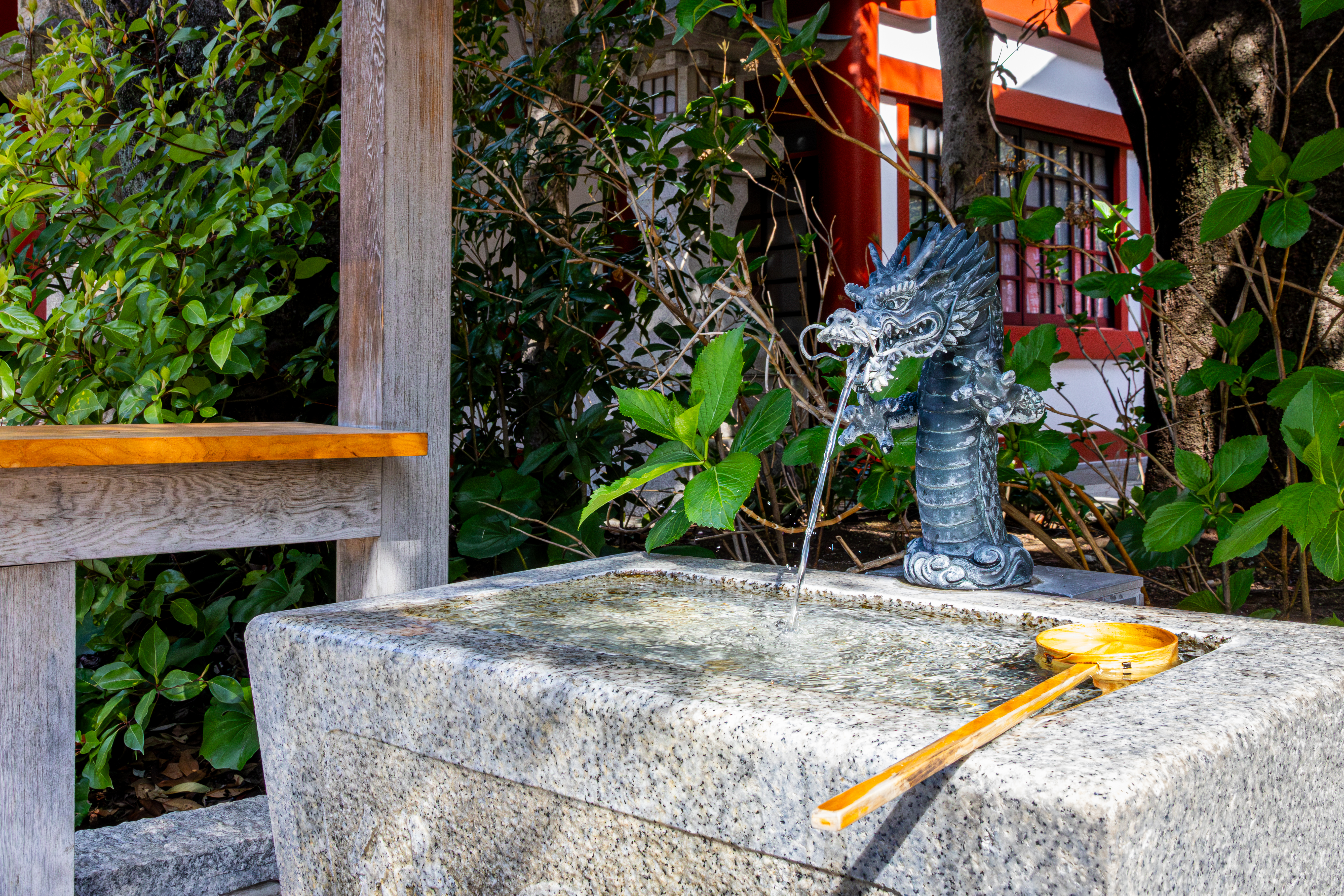 photo-qtf7ZQQBvx9lb8Lj