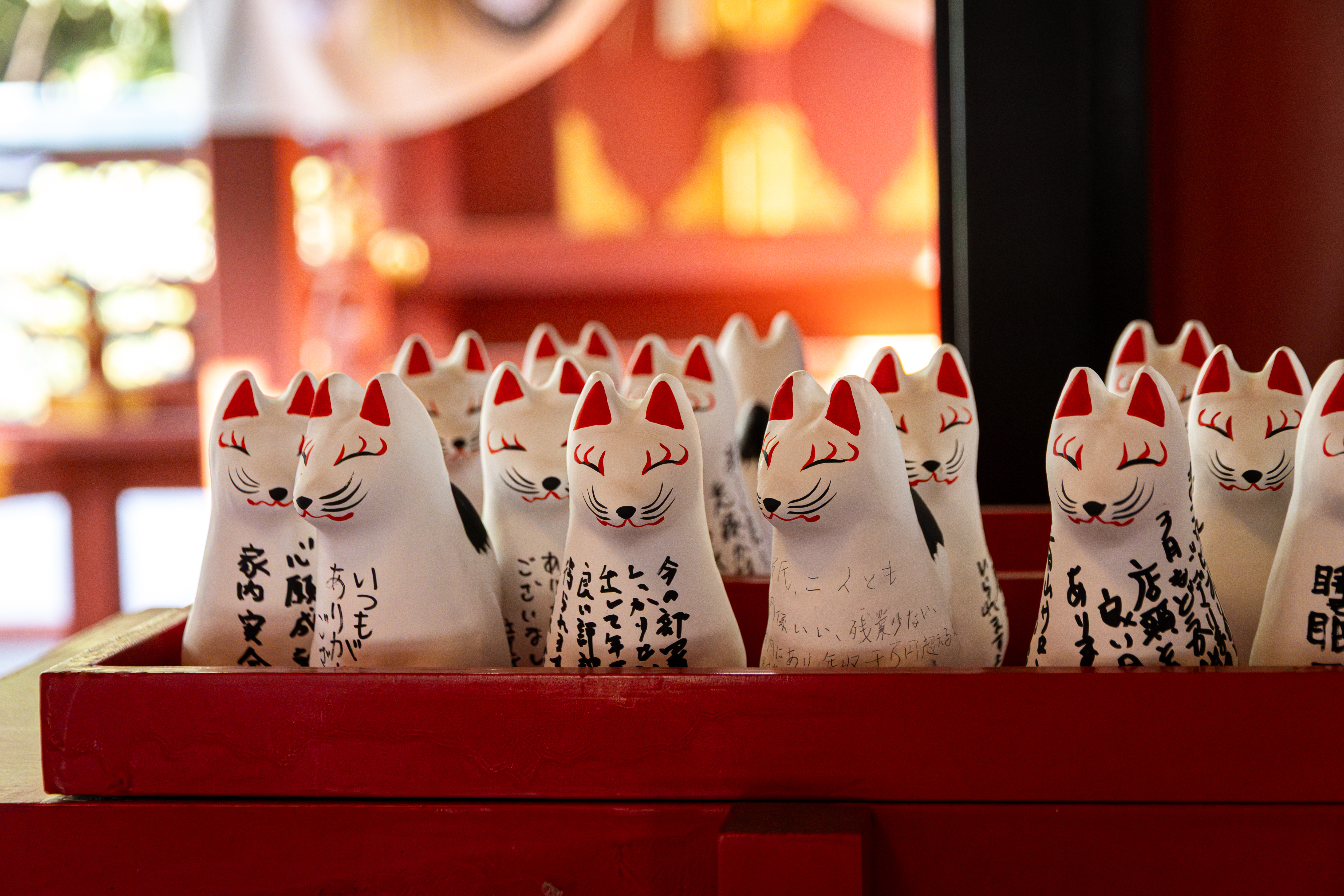 photo-x1kcc4cNkgBL1NyD